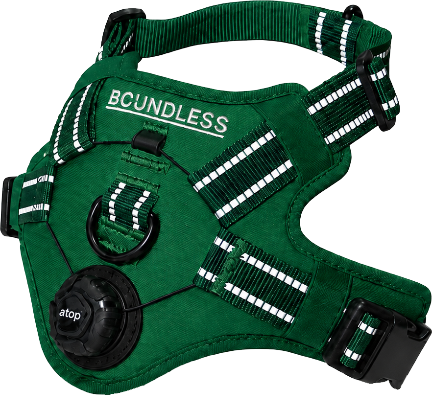 BOUNDLESS green harness with ATOP dial